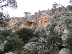 IMG_4519 (Medium)